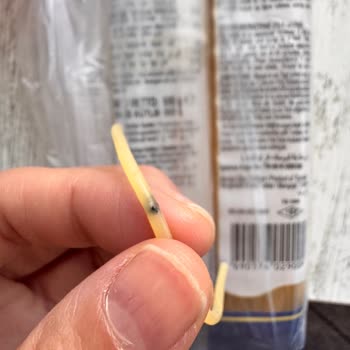 Makarna Ürününde Böcek Şüphesi