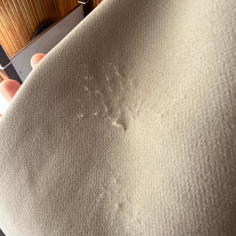 Blazer Ceket Kollarında Hızlı Tüylenme Sorunu