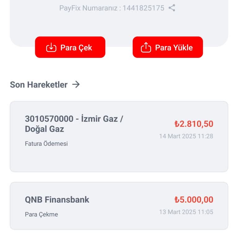Para İadesinde Yaşanan Sorunlar
