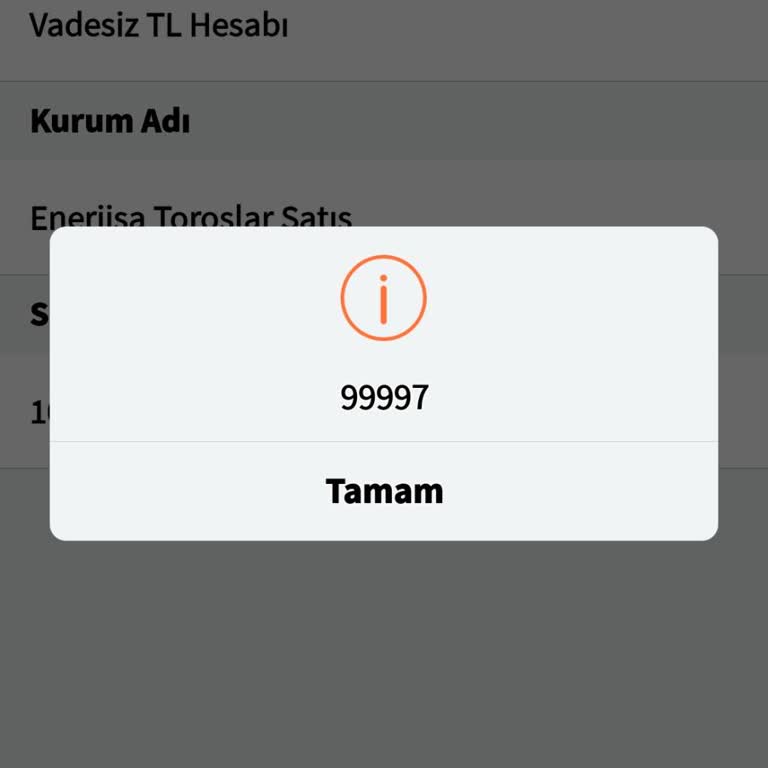 Halkbank Mobil Uygulamasında Otomatik Ödeme Talimatı Hatası