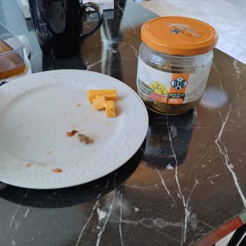 Çekirdeksiz Zeytin Krizi: Diş Kıran Sorun