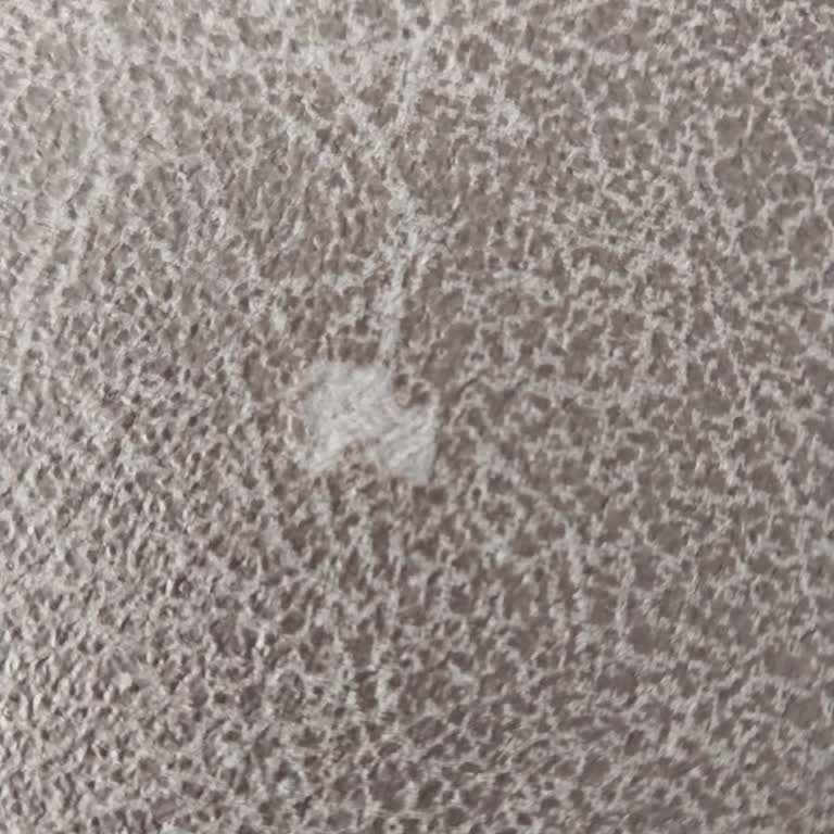 İstikbal Afşin Şubesi'nde Süregelen Koltuk Ve Yatak Başlığı Sorunları!