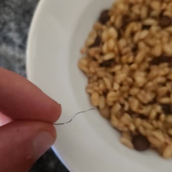 Hazır Yemekte Tehlikeli Yabancı Madde