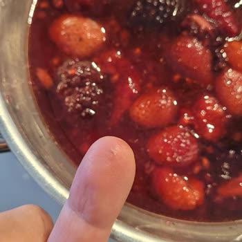 Dondurulmuş Meyvede Kurt Şoku