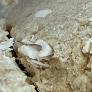 Carrefour Helvasında Kesici Parçalar Şoku