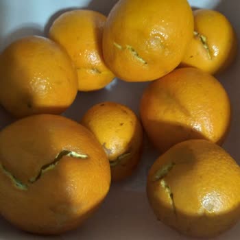 Getir'den Gelen Ürünler Ve Müşteri Hizmetleri Hayal Kırıklığı