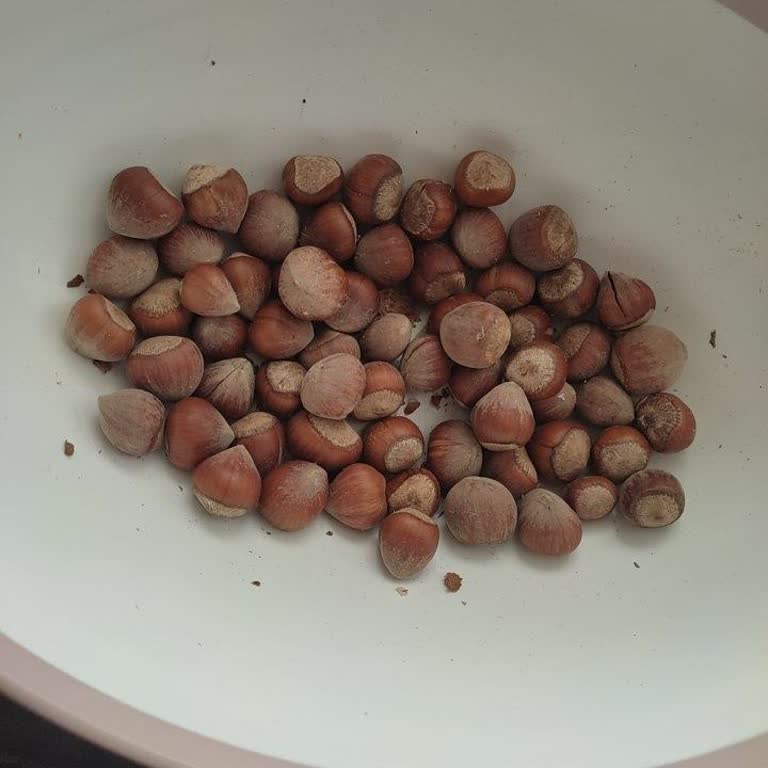 Bayat Ve Kalitesiz Kabuklu Fındık Sorunu