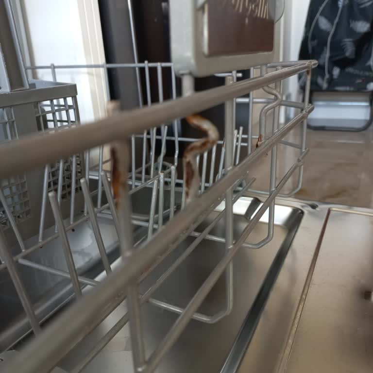 Paslanan Sepetler Yüzünden Bulaşık Makinesi Sorunu