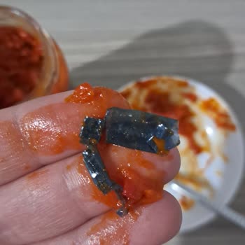 Harras Lutenitsa Sosunda Yabancı Madde Şoku