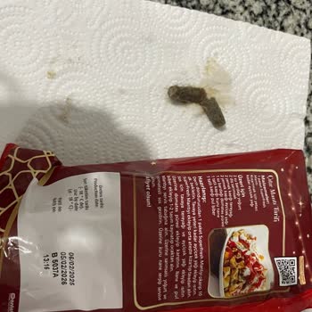 Güvenilir Marka Süperfresh'ten Şok Edici Deneyim