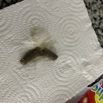 Güvenilir Marka Süperfresh'ten Şok Edici Deneyim