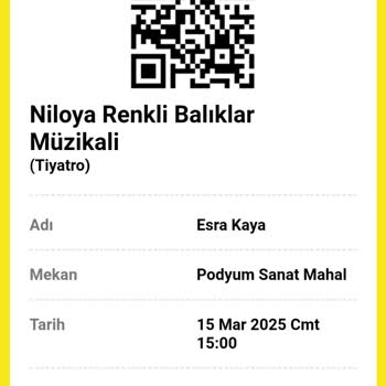 Bilet Karmaşası Ve Koltuk Çakışması