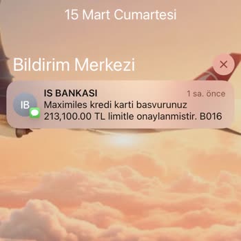 İş Bankası'nda Haksız İşlem Ve Kara Liste Sorunu