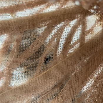 Ricci Abiye'de Elbise Krizi: Yanıltıcı Hizmet Ve İade Sorunu