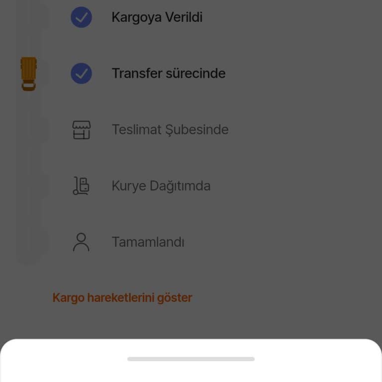 Kargoda Takılan Siparişlerim İçin Acil Yardım!