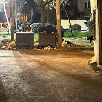 Bornova Belediyesi Çöp Konteyneri Ve Kötü Koku Sorunu