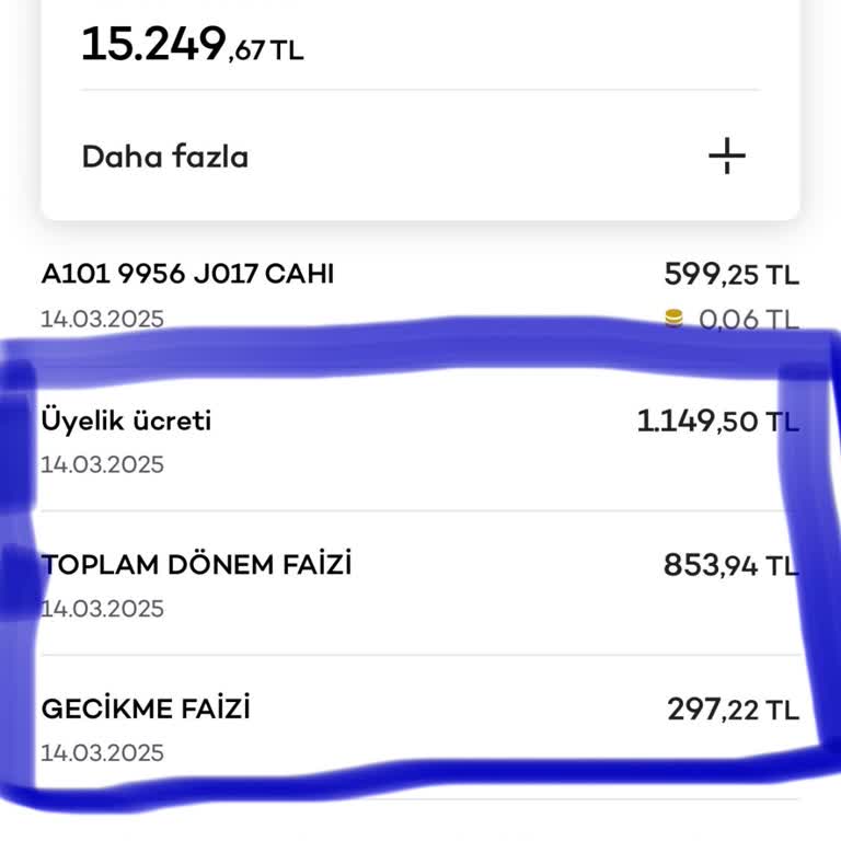 Akbank Axess Platinum Kartımdan Haksız Ücret Ve Faiz Kesintisi