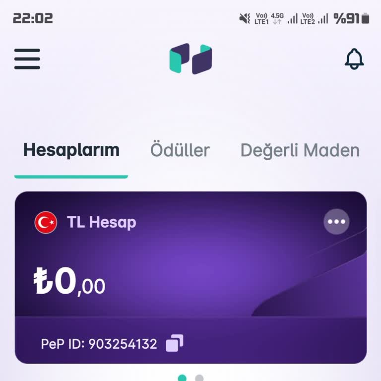 Pep Hesabına Yatırılan Para Neden Hala Yansımadı?