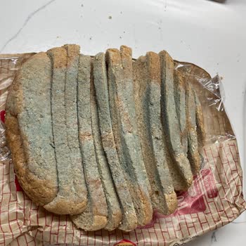 Küflü Ekmek Kabusu: Yemek Sepeti Ve UNO Hayal Kırıklığı