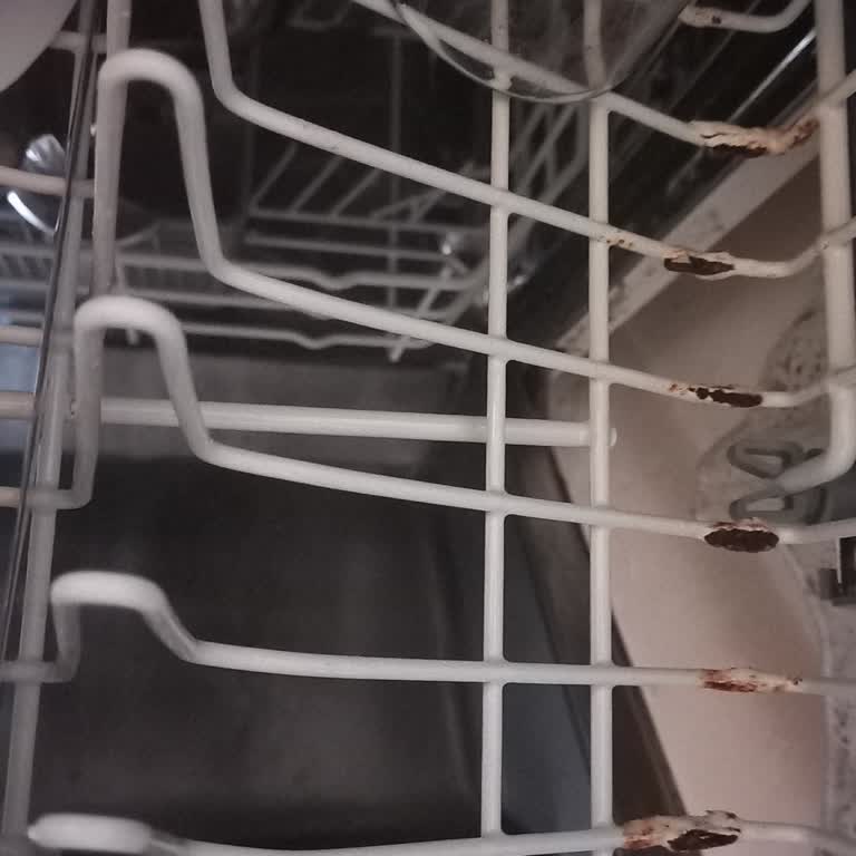 Arçelik Bulaşık Makinesi Paslanma Ve Temizlik Sorunu