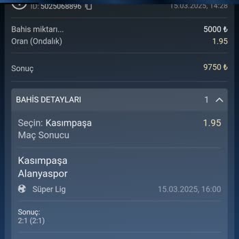 Yanıltıcı Bahis Deneyimi