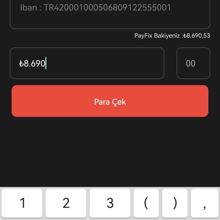 Payfix Hesabındaki Paraya Erişememe Sorunu