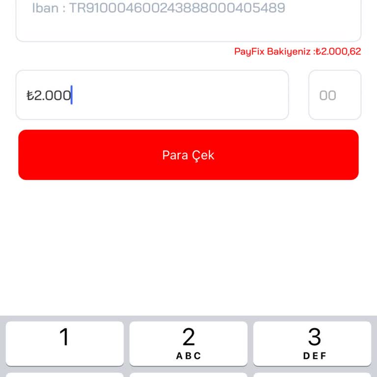 Payfix Para Çekim Sorunu: Çözüm Bekleniyor