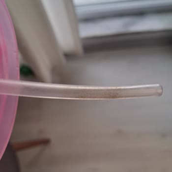 Pipetli Sulukta Temizlik Sorunu Ve İletişim Eksikliği