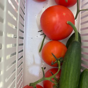 Arçelik Buzdolabı Sorunları: Gürültü Ve Küflenme Şikayeti