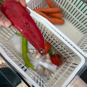 Arçelik Buzdolabı Sorunları: Gürültü Ve Küflenme Şikayeti