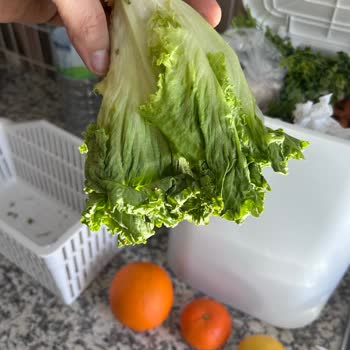 Arçelik Buzdolabı Sorunları: Gürültü Ve Küflenme Şikayeti