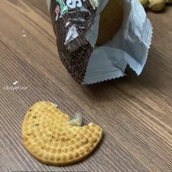 Eti Bisküvi İçinde Poşet