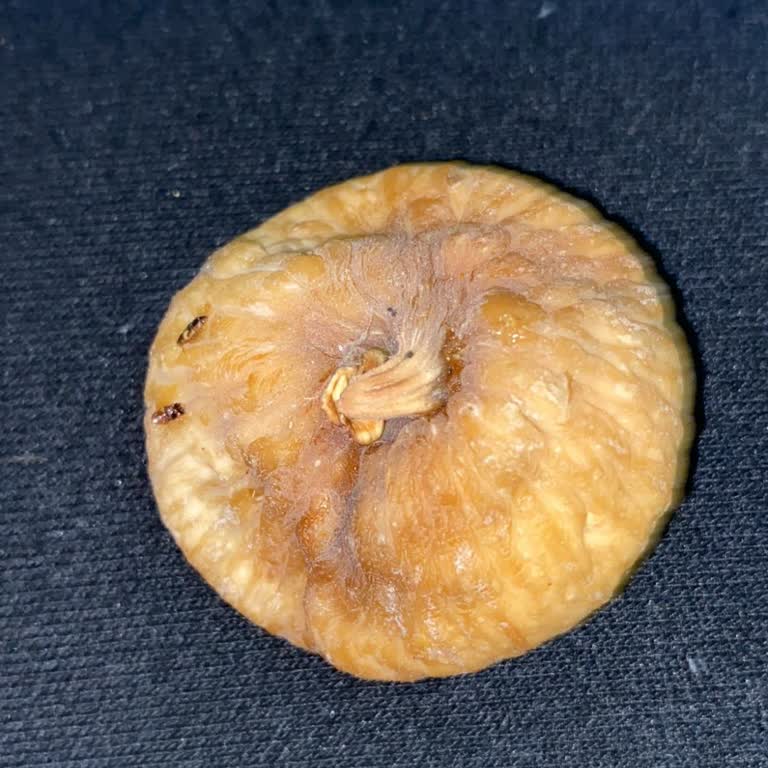 Böceklenmiş İncir Şoku