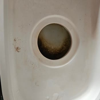 Tommee Tippee Biberon Sterilizatörü Paslanma Ve Servis Sorunu