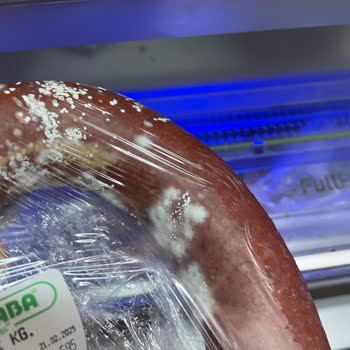 Danet Marka Sucukta Küf Problemi