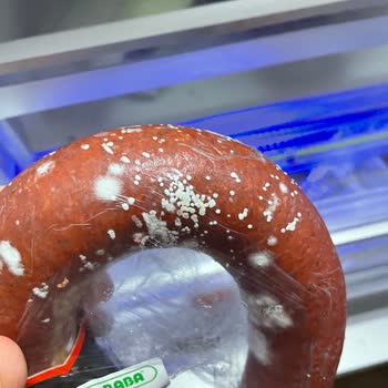 Danet Sucuklarında Küflenme Sorunu