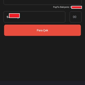 Payfix Para Çekim Sorunu Ve Yetersiz Destek
