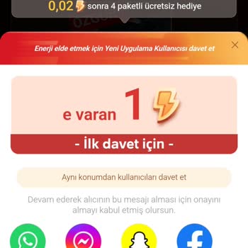 Temu Etkinliği: Hayal Kırıklığı Ve Zaman Kaybı