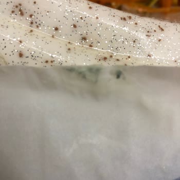 Taze Ürün Beklerken Küflü Peynir Şoku: Sağlığımız Tehlikede!