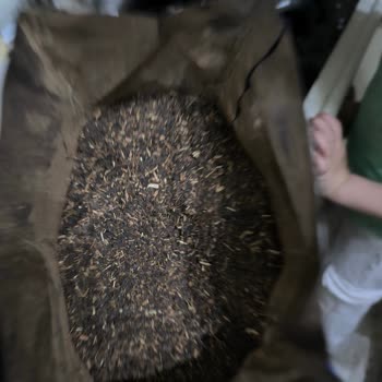 Efor Çay'dan Beklenmedik Sürpriz