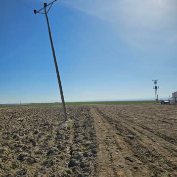 Medaş'ın İhmal Edilen Direk Sorunu