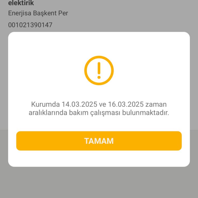Elektrik Faturası Ödeme Sorunu Ve Beklenmedik Artış