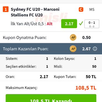 Misli Sistem Hatası Ve Yanıltıcı Bilgilendirme