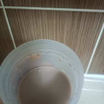 Bigjoy Çikolatalı Protein Tozunda Yaşanan Hayal Kırıklığı!