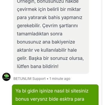 İllegal Siteyle Yaşanan Sorunlar