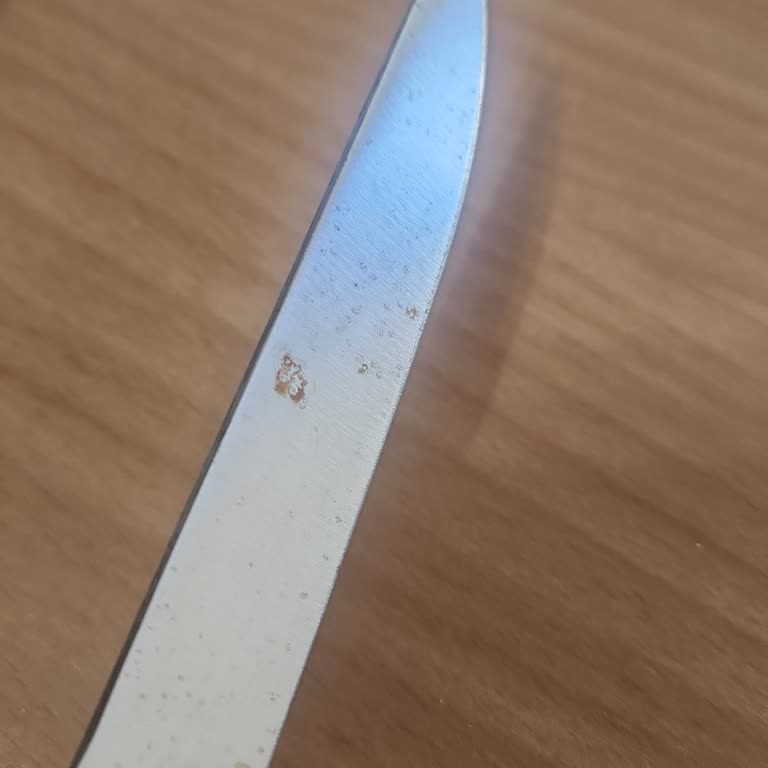 Pirge Bıçaklarında Beklenmedik Paslanma Sorunu