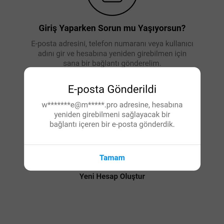 Instagram Hesabım Çalındı: Müşteri İletişimim Tehlikede, Acil Yardım Talebi