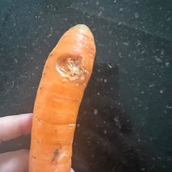 Migros Sanal Market'ten Gelen Bozuk Ürünler Ve İade Sorunu