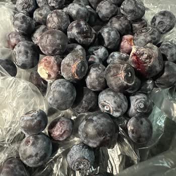 Migros Sanal Market'ten Gelen Bozuk Ürünler Ve İade Sorunu