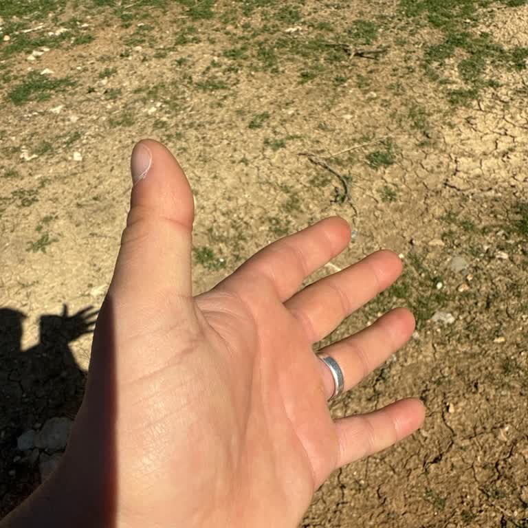 Kargom Kayboldu, Zararım Karşılanmıyor!